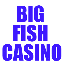 big fish casino free chips